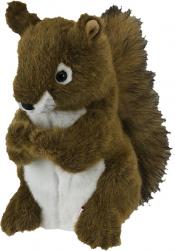 Eichhörnchen Headcover